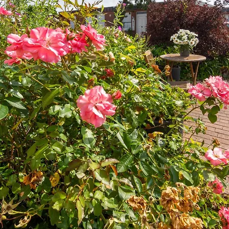 Meerblau * Dornumersiel