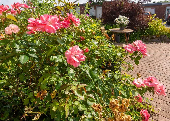 Meerblau * Dornumersiel